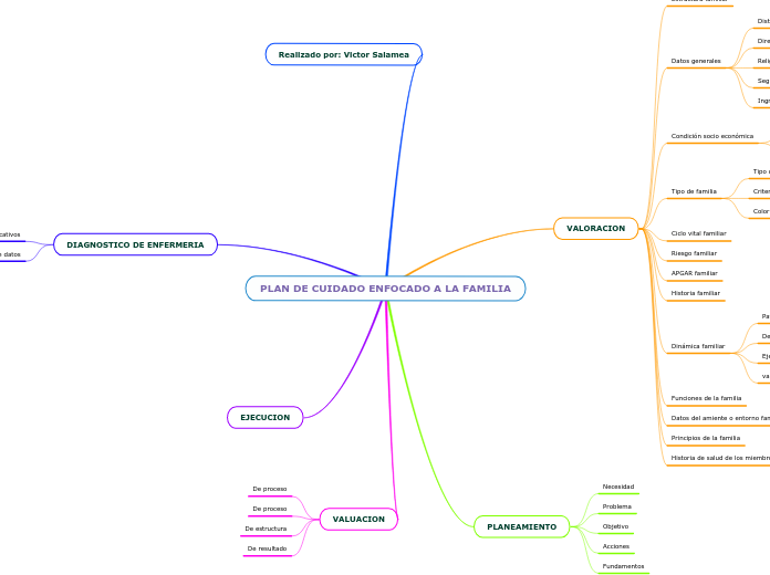PLAN DE CUIDADO ENFOCADO A LA FAMILIA