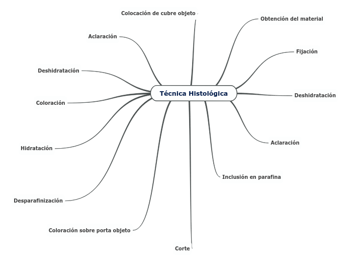 Técnica Histológica