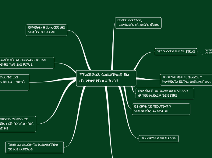 PROCESOS COGNITIVOS EN LA PRIMERA INFANCIA