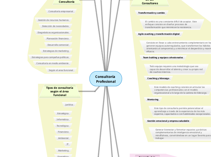 Consultoría Profesional