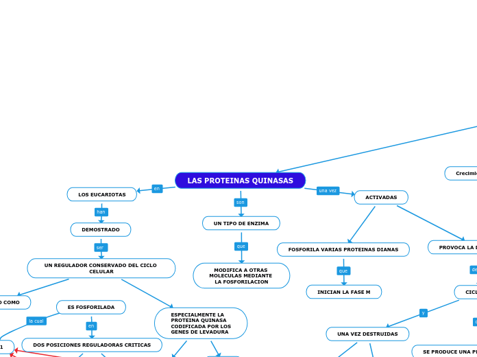 LAS PROTEINAS QUINASAS