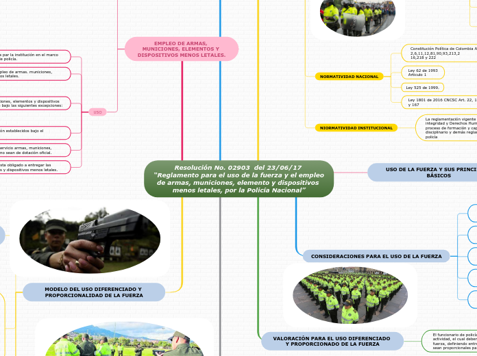 Resolución No. 02903  del 23/06/17 “Reglamento para el uso de la fuerza y el empleo de armas, municiones, elemento y dispositivos menos letales, por la Policía Nacional”