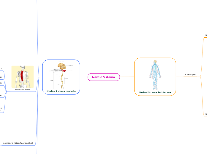 Nerbio Sistema 