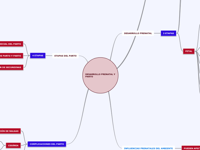 DESARROLLO PRENATAL Y PARTO