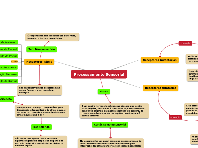 Processamento Sensorial