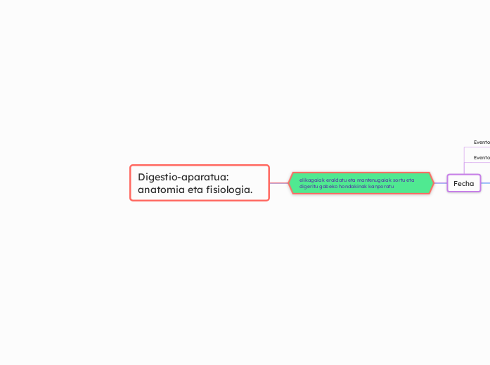 Digestio-aparatua: anatomia eta fisiologia.