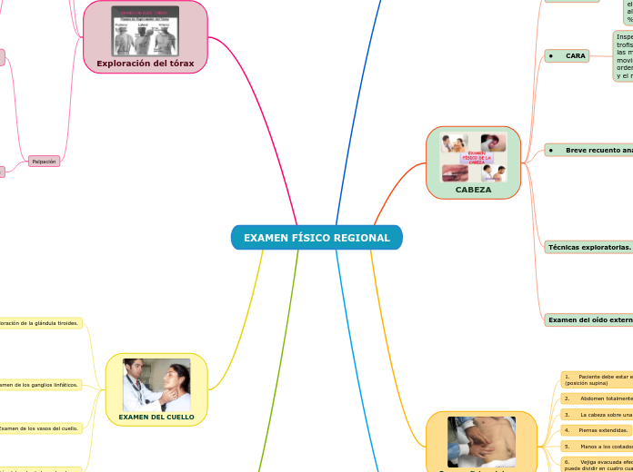EXAMEN FÍSICO REGIONAL
