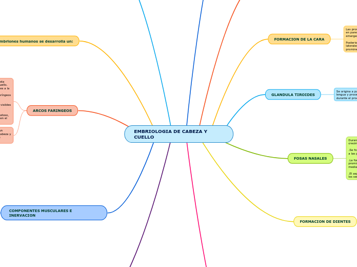 EMBRIOLOGIA DE CABEZA Y CUELLO