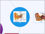 diagrama de arbol