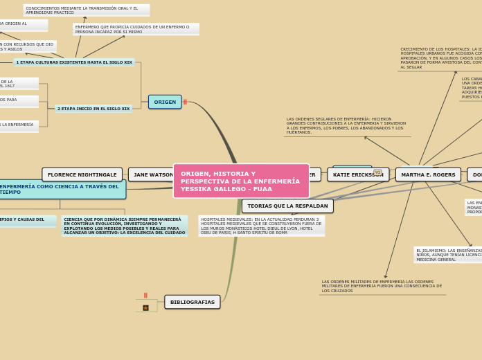 ORIGEN, HISTORIA Y PERSPECTIVA DE LA ENFERMERÍA YESSIKA GALLEGO - FUAA