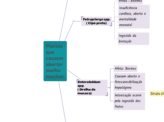 Plantas que causam aborto/malformações: