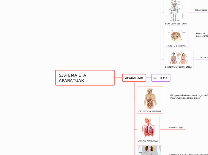 SISTEMA ETA APARATUAK