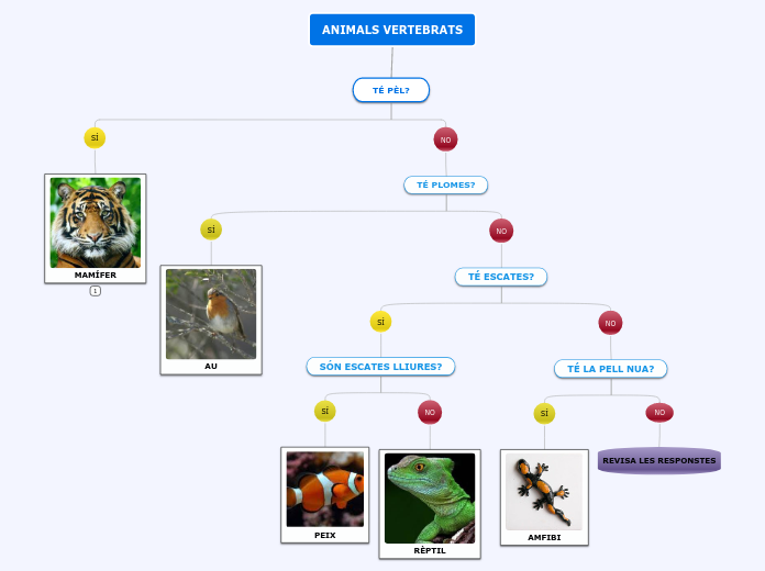 ANIMALS VERTEBRATS