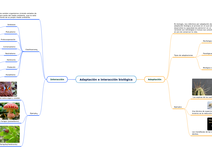 Adaptación e interacción biológica