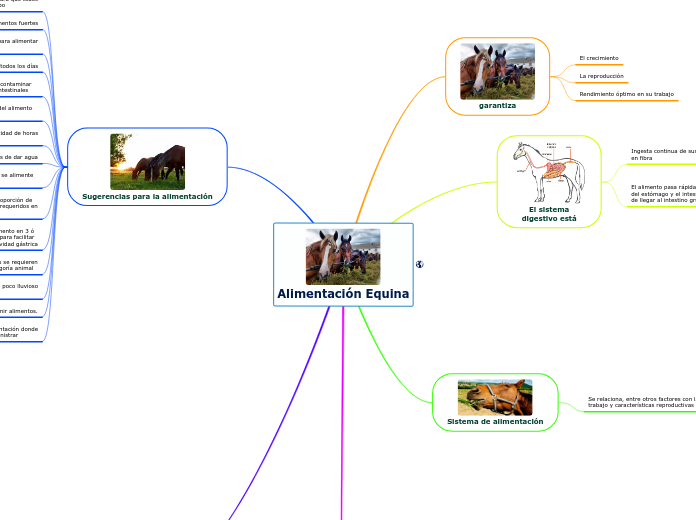 Alimentación Equina
