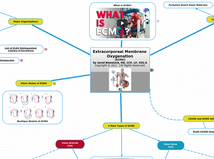 Extracorporeal Membrane Oxygenation
(ECMO)
by Jared Bienstock, MS, CCP, LP, CES-A
Copyright © 2021  (All Rights Reserved)