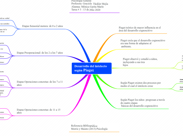 Desarrollo del intelecto según Piaget