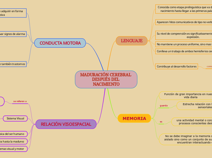 MADURACIÓN CEREBRAL DESPUÉS DEL NACIMIENTO