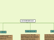 BIOMOLECULAS