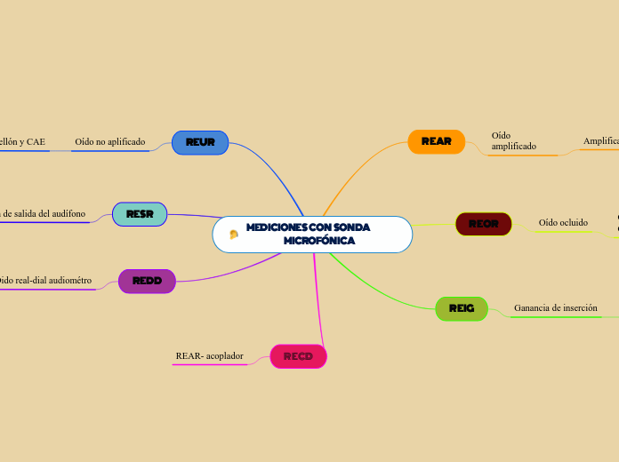 MEDICIONES  CON  SONDA                         MICROFÓNICA