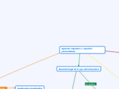 Actividad 2 mapa conceptual 