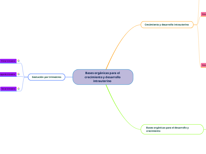 Bases orgánicas para el crecimiento y desarrollo intrauterino  
