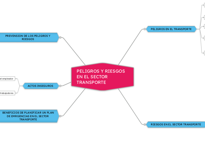 PELIGROS Y RIESGOS EN EL SECTOR TRANSPORTE