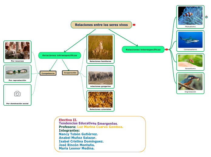 Relaciones entre los seres vivos