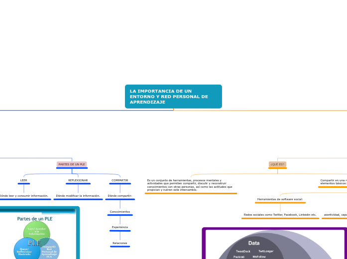 IMPORTANCIA DE UN PLE Y PLN