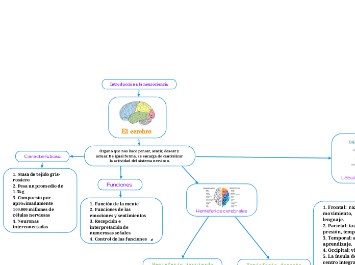 Introducción a la neurociencia