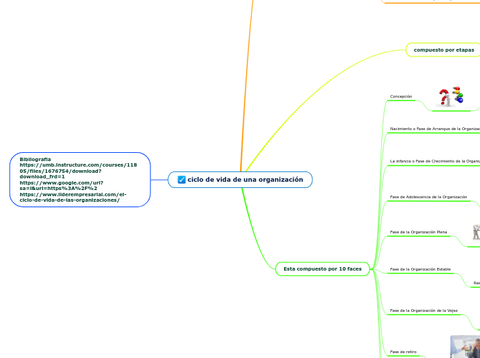 ciclo de vida de una organización