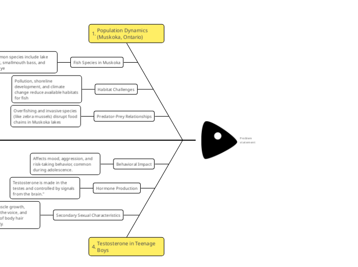 6M Fishbone Diagram 