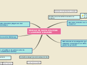 Sample Mind Map