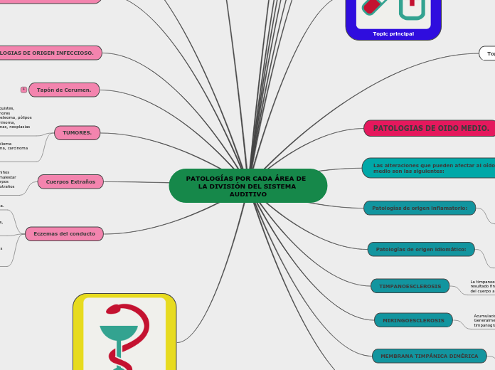 PATOLOGÍAS POR CADA ÁREA DE   LA DIVISIÓN DEL SISTEMA AUDITIVO