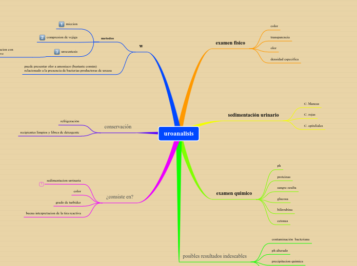 uroanalisis