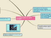 Sample Mind Map