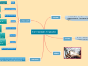 Enfermedades Tropicales