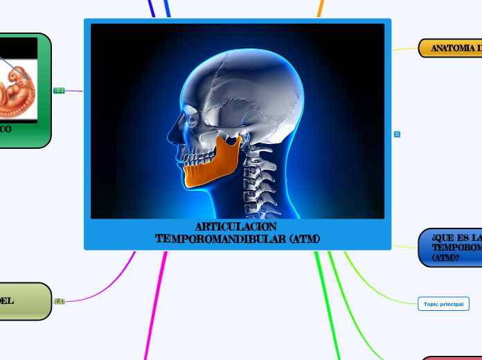 ARTICULACION TEMPOROMANDIBULAR (ATM)