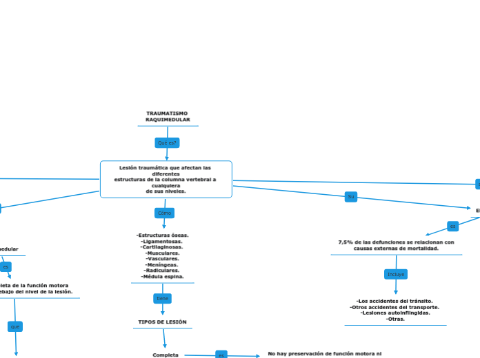 TRAUMATISMO RAQUIMEDULAR