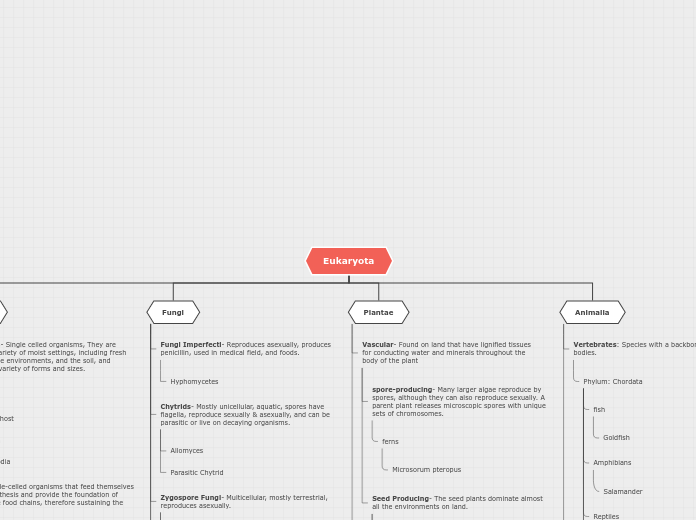 Diversity Mind Map 