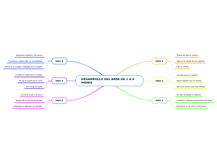 DESARROLLO DEL BEBE DE 1 A 6 MESES