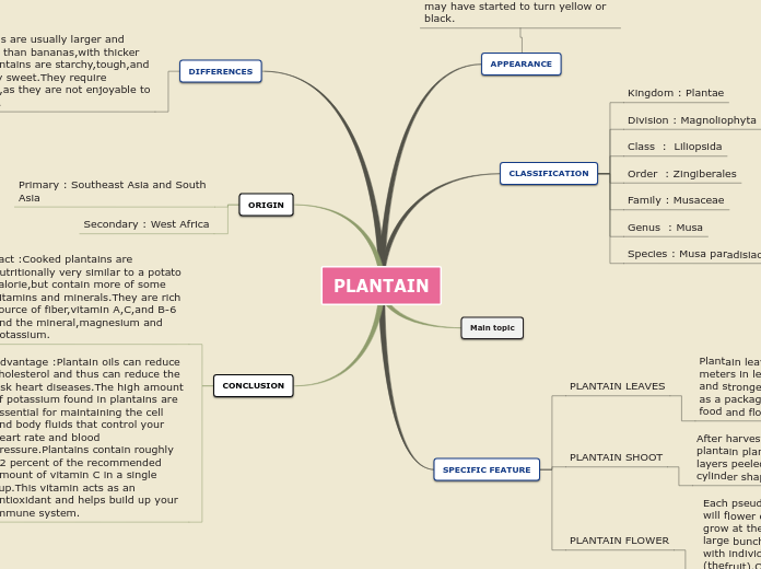 Sample Mind Map