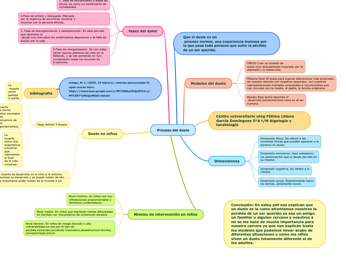 Proceso del duelo