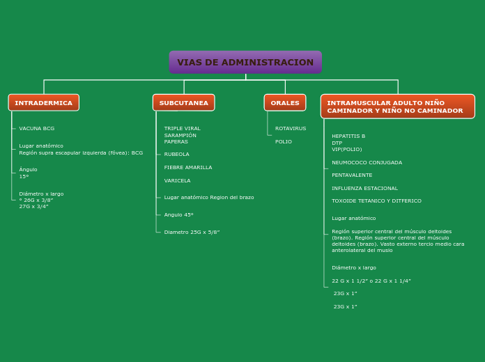 Organigrama arbol