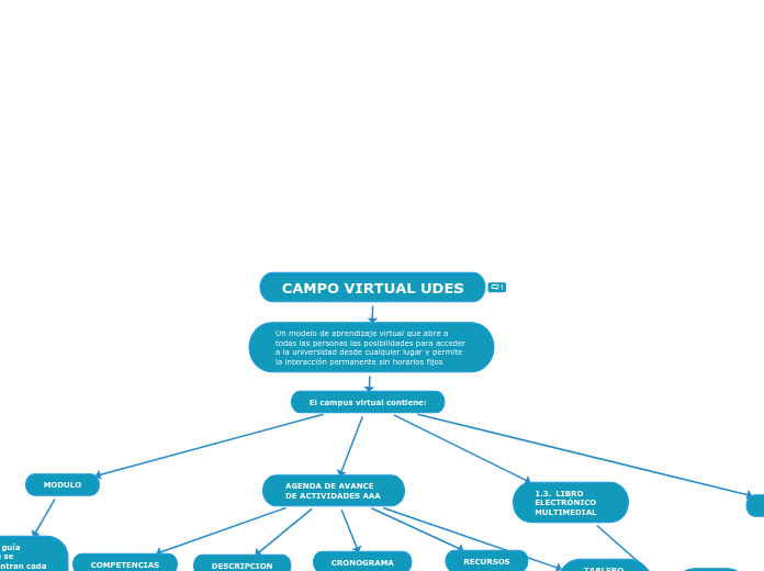 CAMPO VIRTUAL UDES