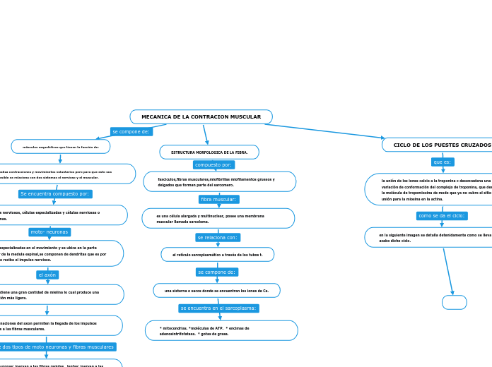MECANICA DE LA CONTRACION MUSCULAR