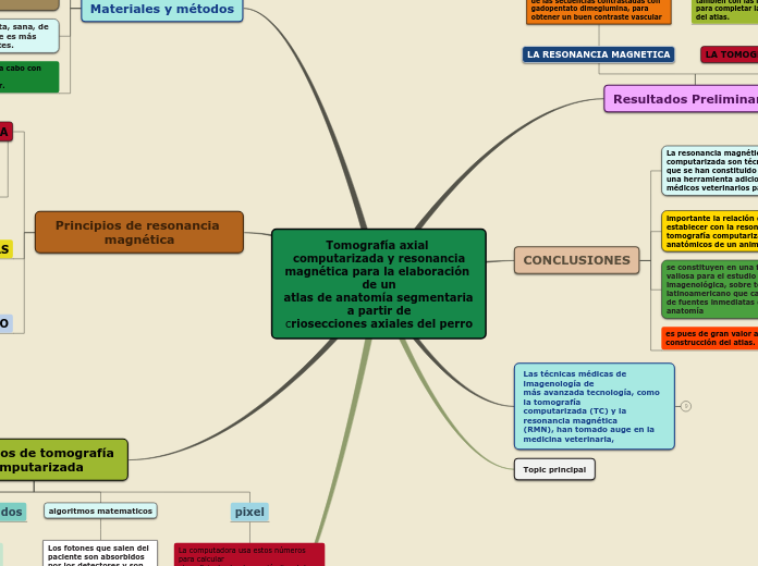 Tomografía axial computarizada y resonanciamagnética para la elaboración de unatlas de anatomía segmentaria a partir decriosecciones axiales del perro