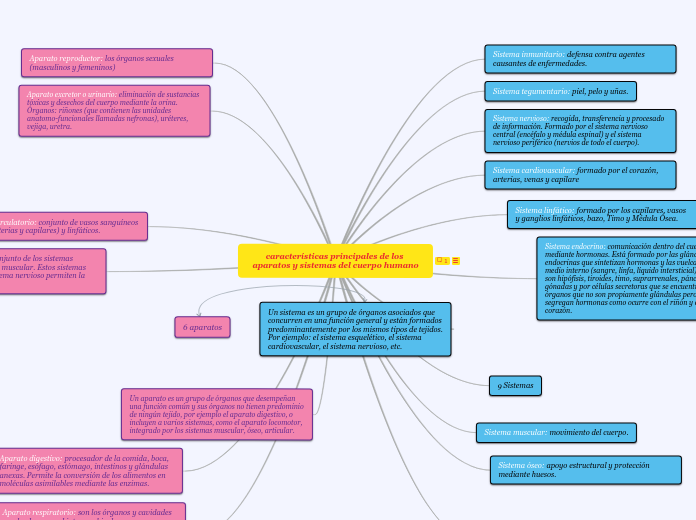 características principales de los aparatos y sistemas del cuerpo humano