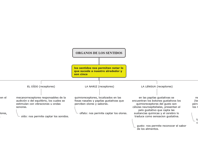 ORGANOS DE LOS SENTIDOS