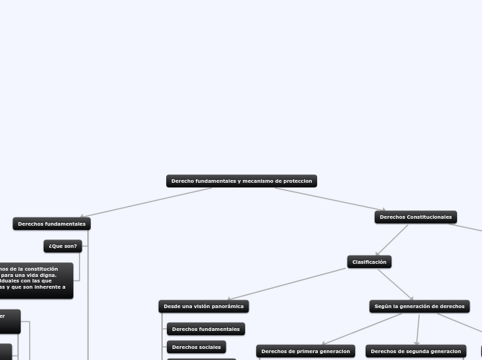 Derecho fundamentales y mecanismo de proteccion